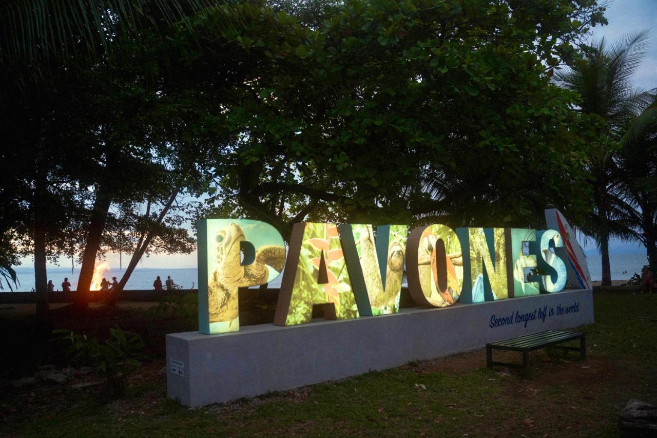 New hostel - Esperanza Pavones Pavones  Exterior foto